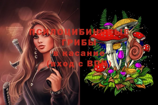 спиды Аркадак