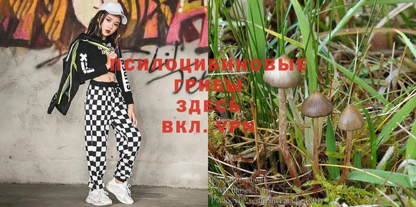 ALPHA PVP Арсеньев
