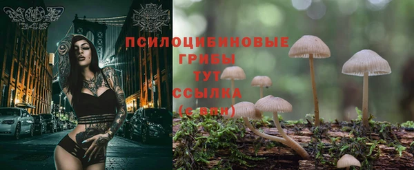 каннабис Баксан
