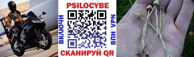 дарнет шоп  мега сайт  Псилоцибиновые грибы Psilocybine cubensis  Балашиха 